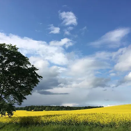 In For 5 Personen Casa vacanze *