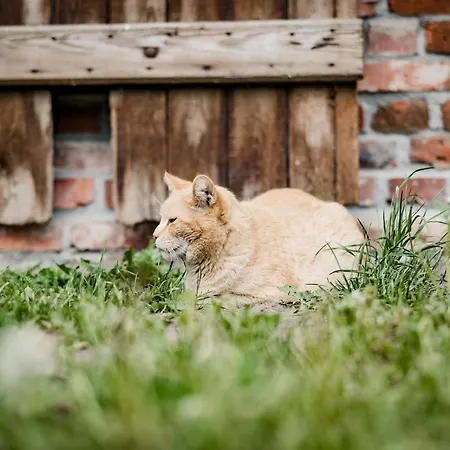 In For 5 Personen Casa vacanze