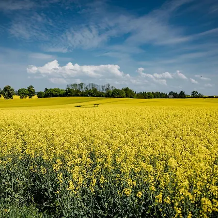 In For 5 Personen * Neu Poserin
