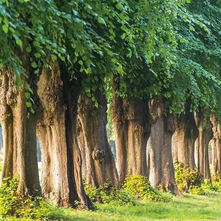 In For 5 Personen Casa vacanze *