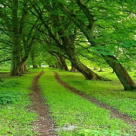 In For 5 Personen * Neu Poserin