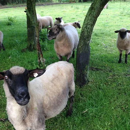 Casa vacanze In For 5 Personen