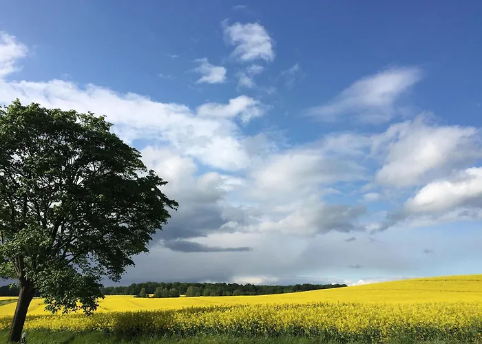 In For 5 Personen Tatil Evi *