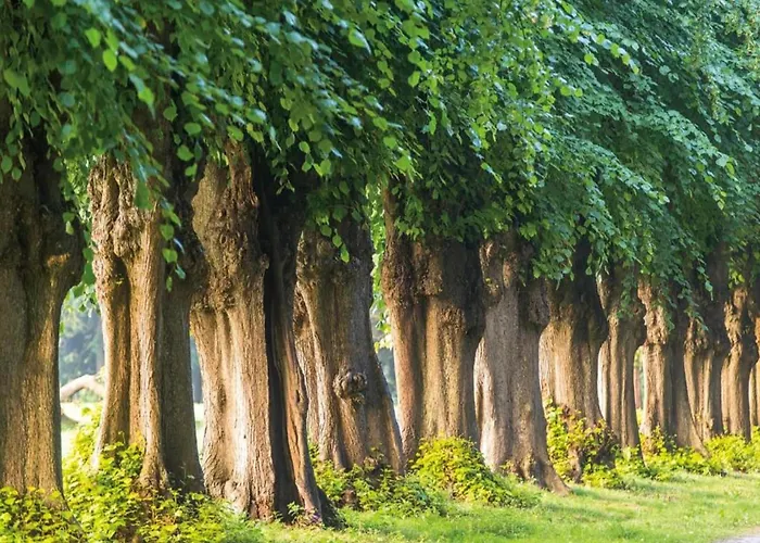 In For 5 Personen Tatil Evi *