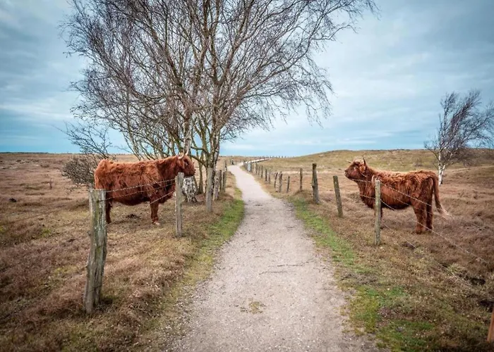 In For 5 Personen * Neu Poserin