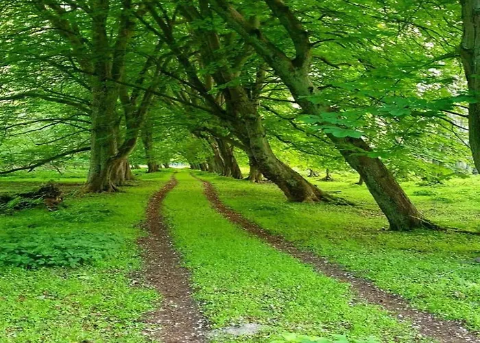 In For 5 Personen * Neu Poserin