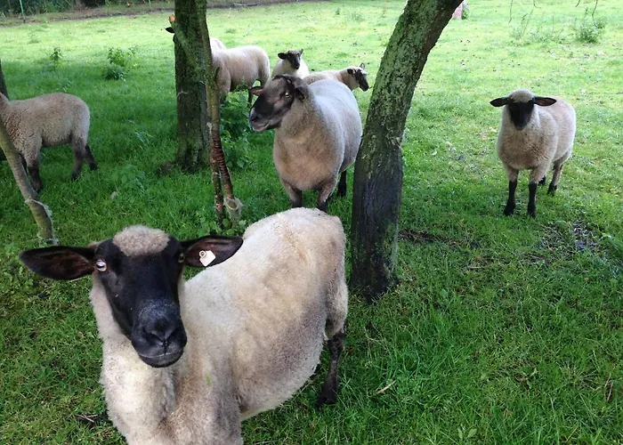 Tatil Evi In For 5 Personen